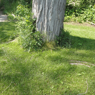 DSC01286