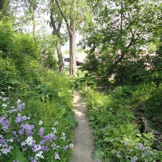 DSC01289