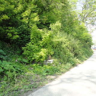 DSC01297