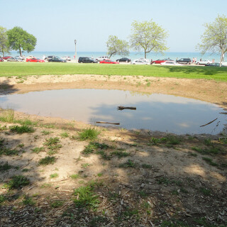 DSC01300