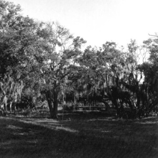 c673442