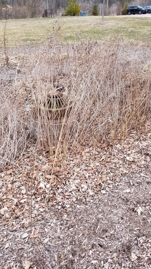 20180411_182009.jpg