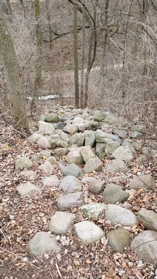 20180411_182030.jpg
