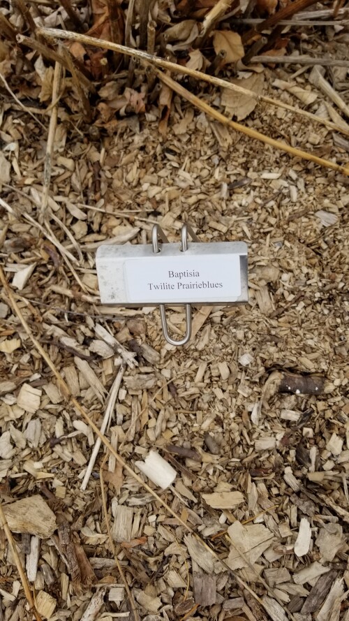 20180411_182209.jpg