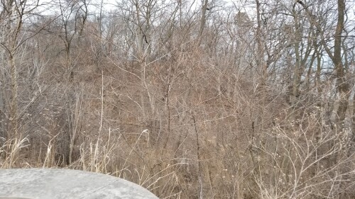 20180411_182428.jpg