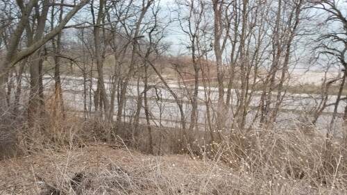 20180411_182430.jpg