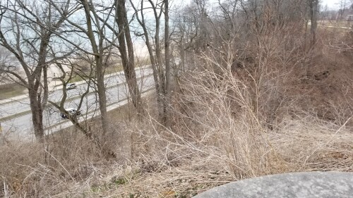 20180411_182433.jpg