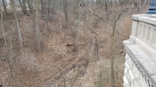 20180411_183154.jpg