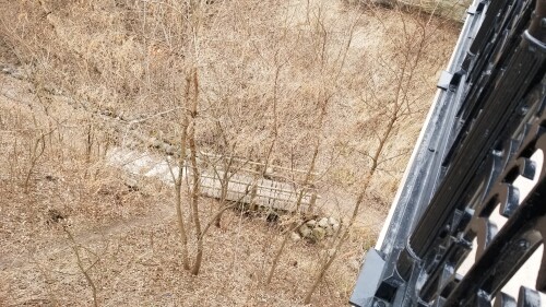 20180411_183205.jpg