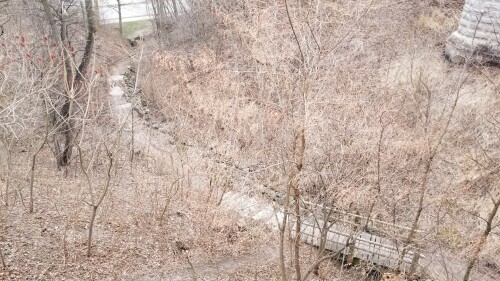20180411_183207.jpg