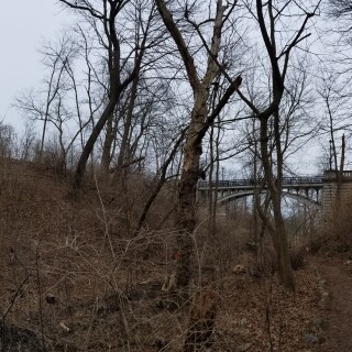 20180411_183802