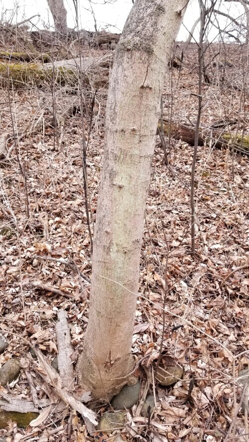 20180411_183835.jpg