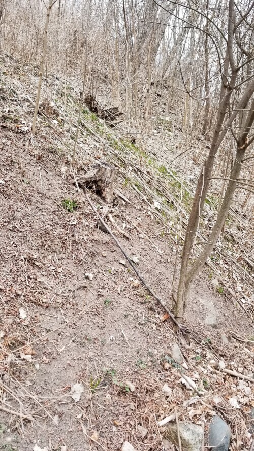 20180411_184412.jpg