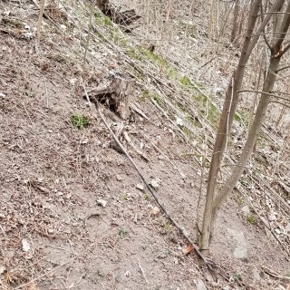 20180411_184412