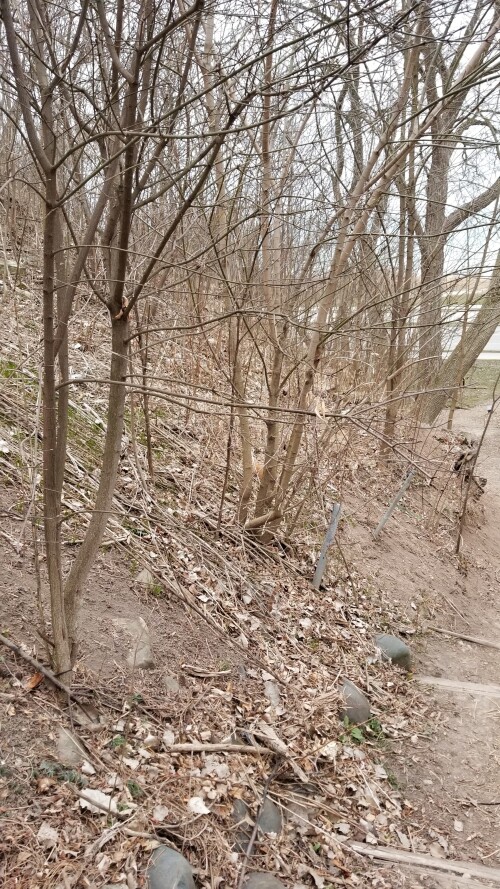 20180411_184414.jpg