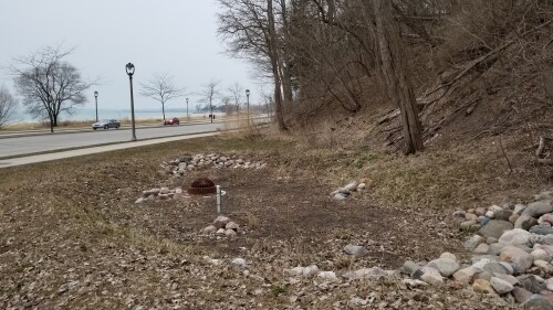 20180411_184510.jpg