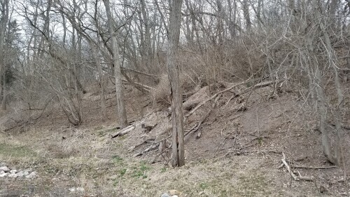 20180411_184519.jpg
