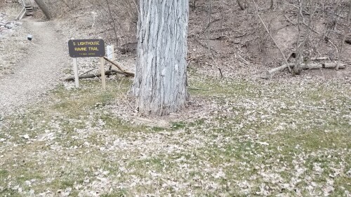 20180411_184532.jpg
