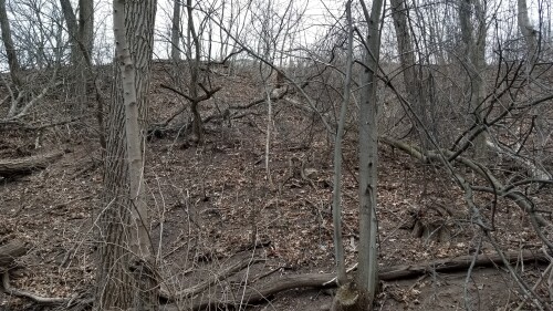 20180411_184840.jpg