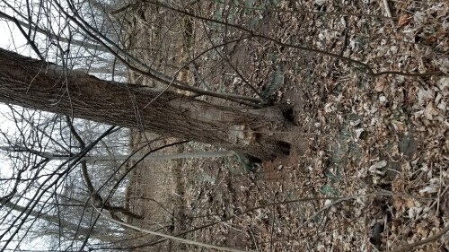 20180411_184934.jpg
