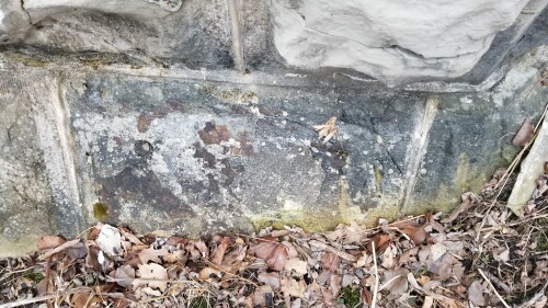 20180411_185316.jpg