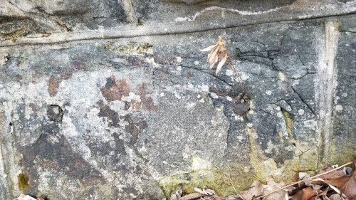 20180411_185324.jpg
