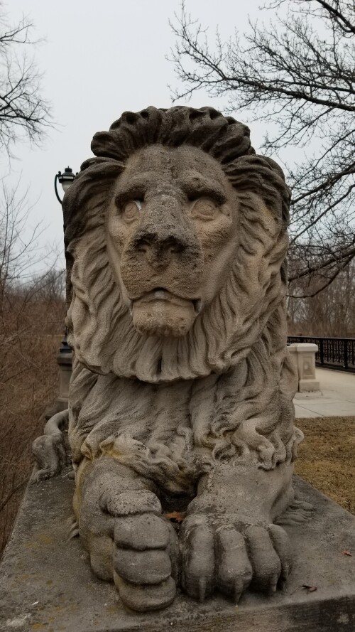 20180411_185424.jpg