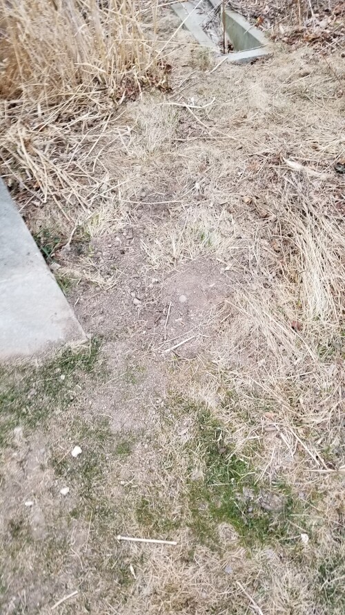 20180411_185711.jpg
