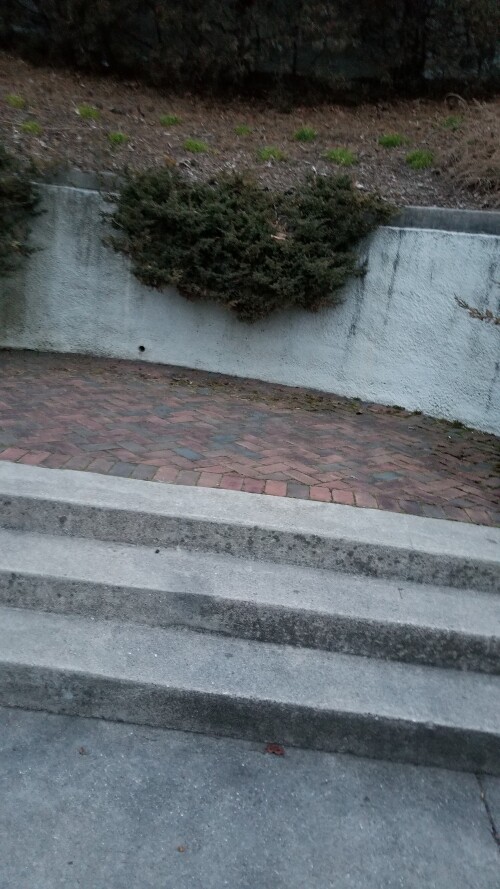 20180411_193307.jpg