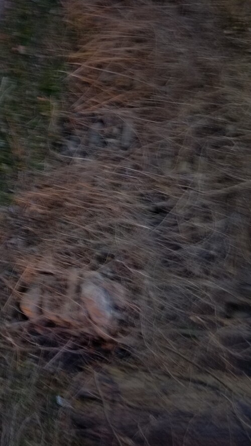 20180411_194055.jpg