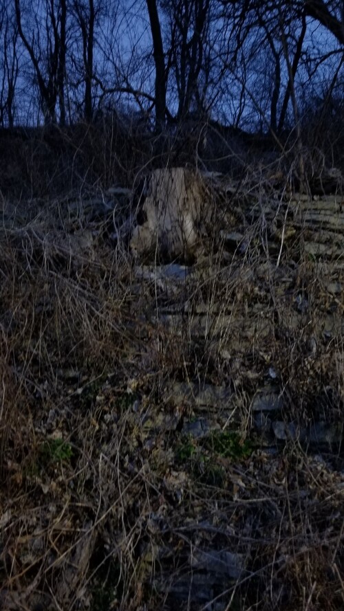 20180411_194305.jpg