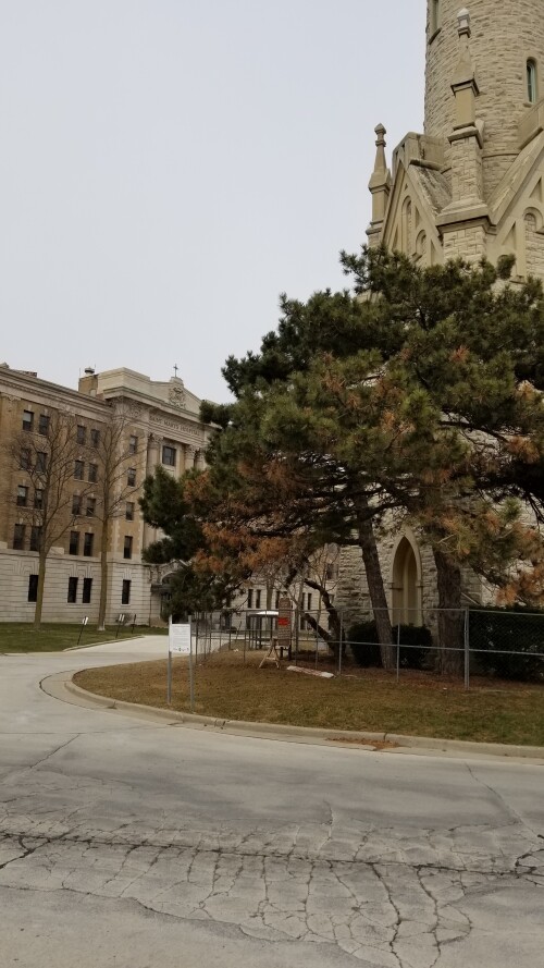 20180412_175017.jpg