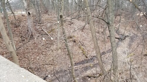 20180412_181322.jpg