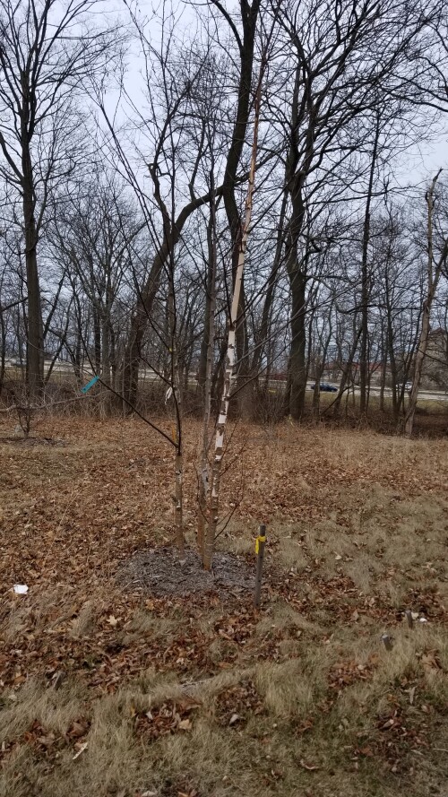 20180412_181602.jpg