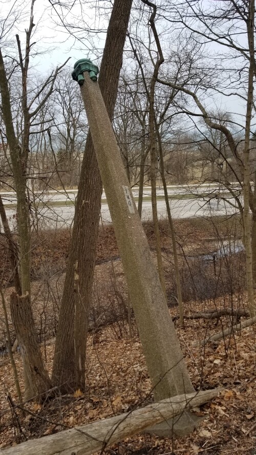 20180412_181914.jpg