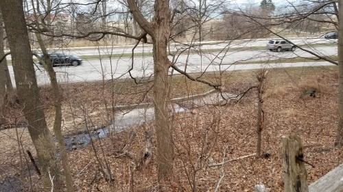 20180412_181937.jpg