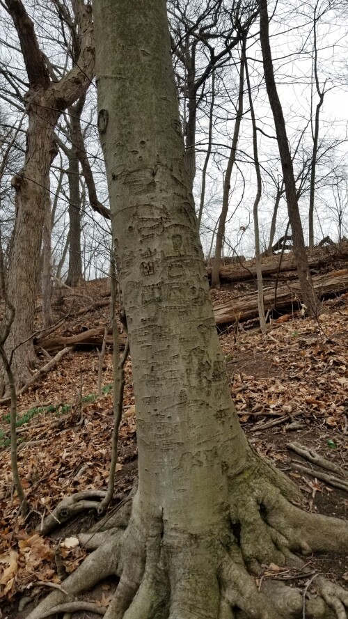 20180412_182019.jpg