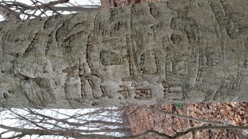 20180412_182038.jpg