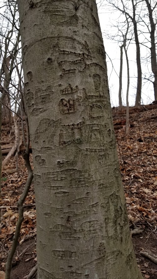 20180412_182121.jpg