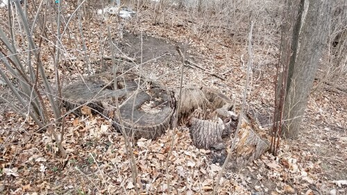 20180412_183625.jpg