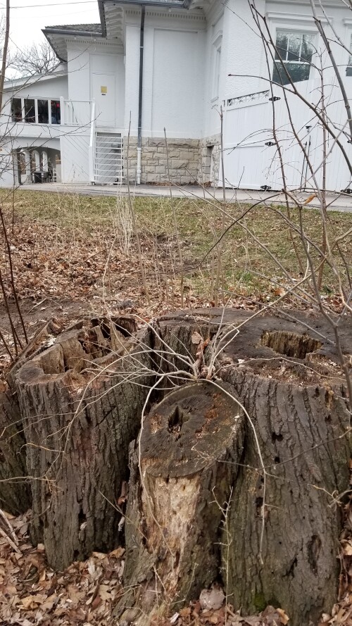 20180412_183651.jpg