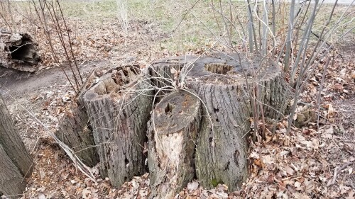 20180412_183702.jpg