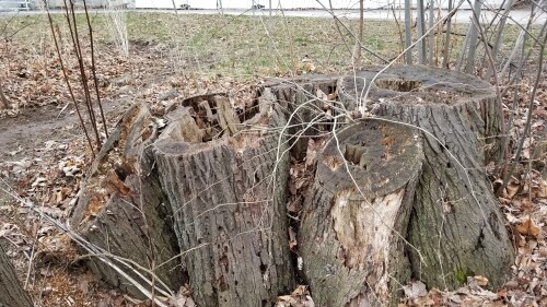 20180412_183709.jpg
