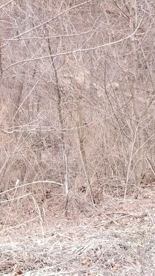 20180412_185107.jpg
