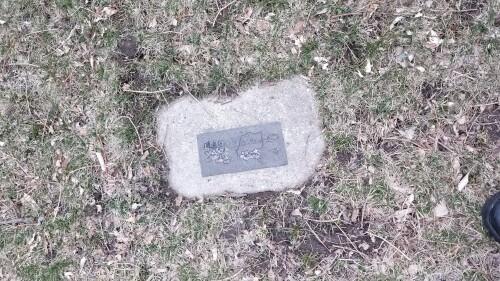 20180412_190004.jpg