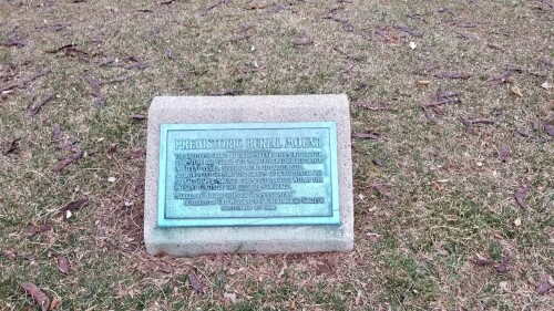 20180412_190817.jpg