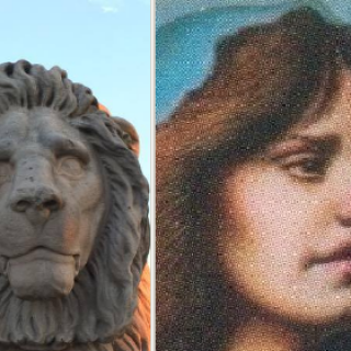 lion