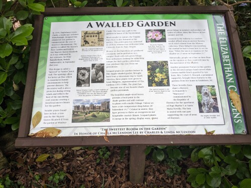 Elizabethan-Gardens-June-2023-11.jpg