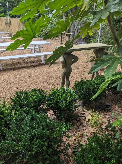 Elizabethan-Gardens-June-2023-21.jpg