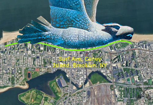 Seagull-and-Surf-Ave.png